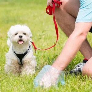 Poop Scooping – Bi-Weekly (1 Dog)