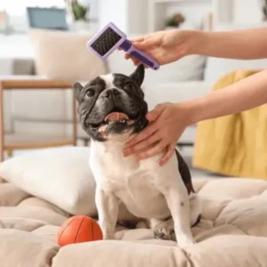 In-Home Pet Care – Drop-In-Visits 30 Min